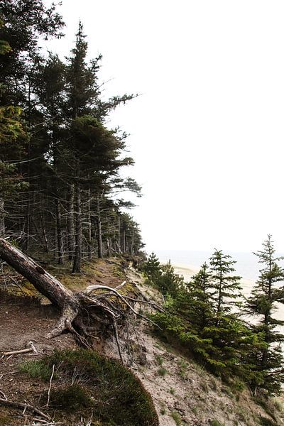 Côte du Danemark par Jasmijn Visser