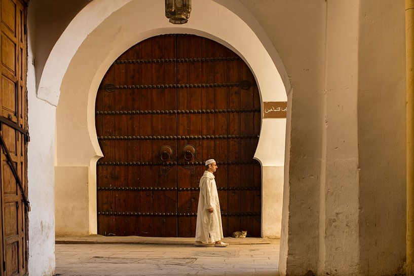 Marokkaner und Katze in Fes von Paula Romein