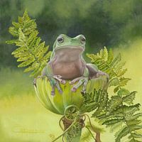 Carla jasper - Sir Croaks-a-Lot