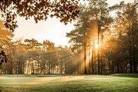 Sonnenaufgang an einem kalten Wintertag