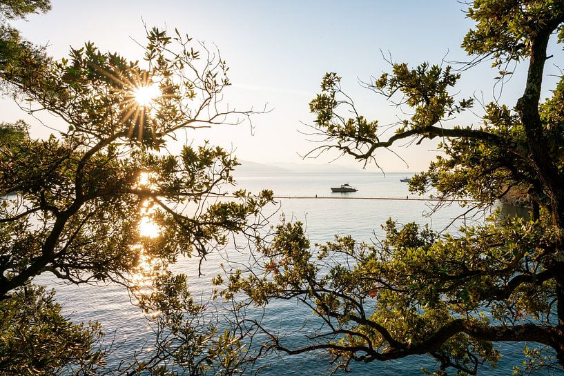 Idyllic sunrise in the harbour on the Ligurian coast by Leo Schindzielorz