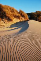 Duinen  Ameland