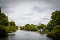 Park in Londen met zicht op Buckingham Palace en de London Eye