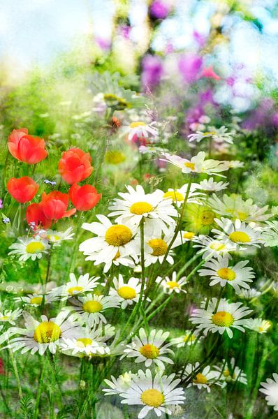 Flower art with daisies by Corinne Welp