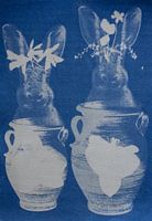 Blue Garden Curiosity