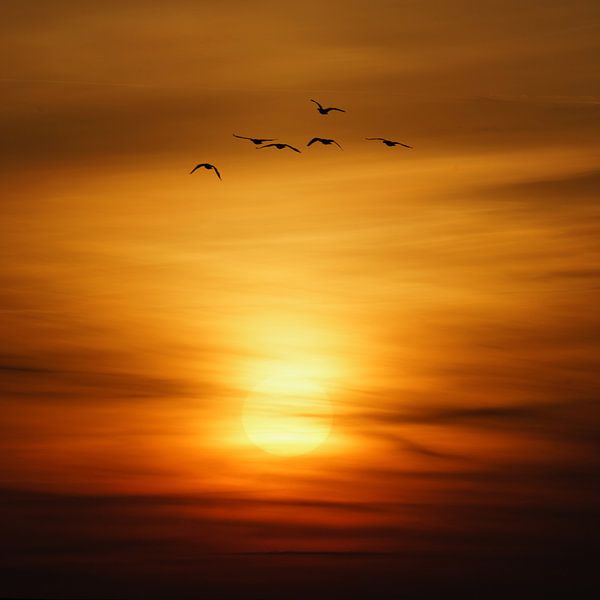 Départ en début de journée par Bodo Balzer