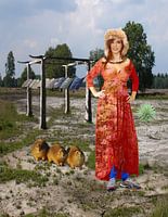 Het tempeltje van Barger Oosterveld