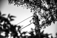 Strangely familiar 09