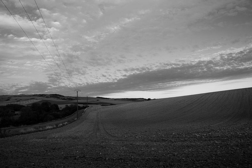 Krümmende Linien von Cathfish photography by Cathie Lefieuw