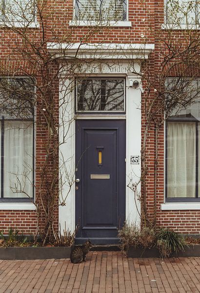 Blaue Haustür Haarlem | Fine Art Photo Print | Niederlande, Europa von Sanne Dost