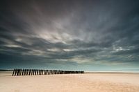 Pieux en bois sur la côte d'opale en France