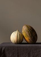 Portrait of two melons