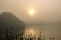 Sonnenaufgang durch den Nebel / Goldene Stunde / Naturfotografie