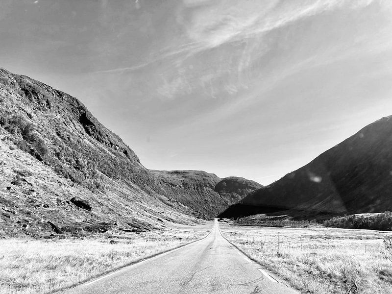 Straße der Wikinger - Norwegen von Studio Hinte