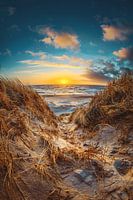 Coucher de soleil dans les dunes du Danemark