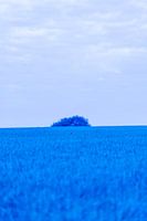 Rote Hoffnung in einem blauen Universum