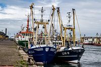 IJmuiden fishing port