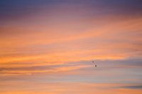 zonsondergang met twee voorbij vliegende vogels
