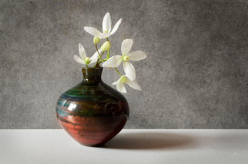 Clematis armandii in vase by Corinne Welp