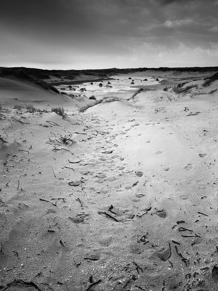 Nieuwe Duinen von David Hanlon