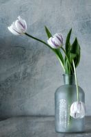 Fine Art Fotografie von drei Tulpen auf Vase.