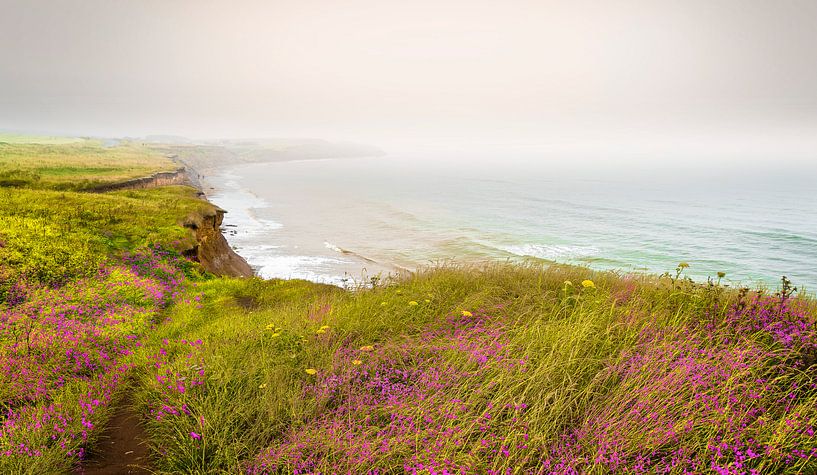 1548 Île de Wight III par Adrien Hendrickx