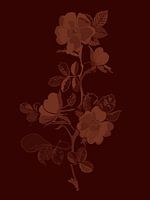 Fleur | Marron | vintage | Rétro | Illustration