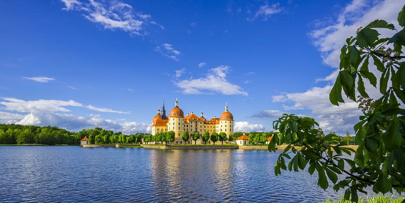 Moritzburg by Walter G. Allgöwer