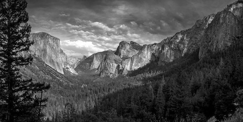 Yosemite NP - Schwarz-Weiß-Blick über das Tal von Toon van den Einde