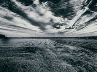 Verseuchte Landschaft