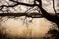 Homme De IJzeren, Vught