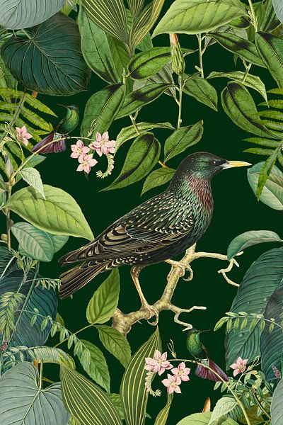 Grüner Tropenwald von Andrea Haase