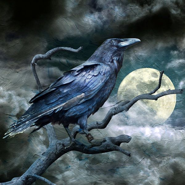 Rabenvogel - H. Fischer von mimone art