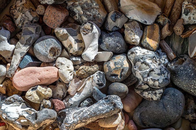 Strandgut. Ostsee. Fehmarn. von Christoph Jirjahlke