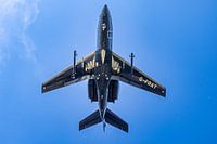 Dassault 20 of Dragons - Precision Approach