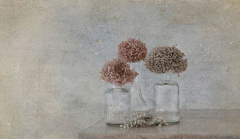 Glas und getrocknete Blumen von Marie-Anne Stas