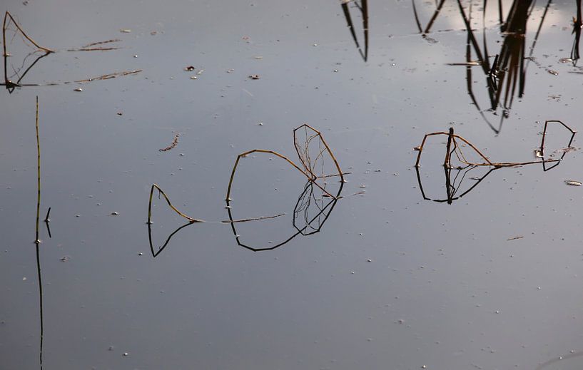 Am See von Thomas Jäger