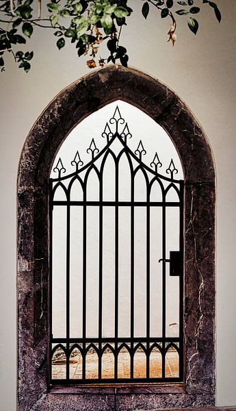 Castle gate wrought iron ornamental fence by Saranda in t Veld Fotografie