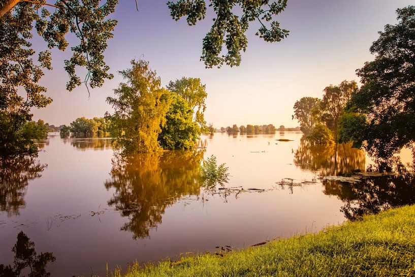 Die Maas bei Hochwasser von Marcel Bakker