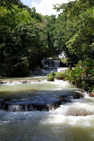 YS Falls - Jamaica by t.ART