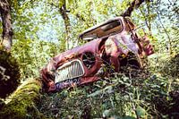 Reanult 4 found in forest