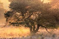 Beautiful light at the Quin