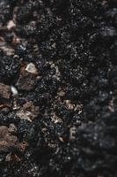 the dirt under your nails