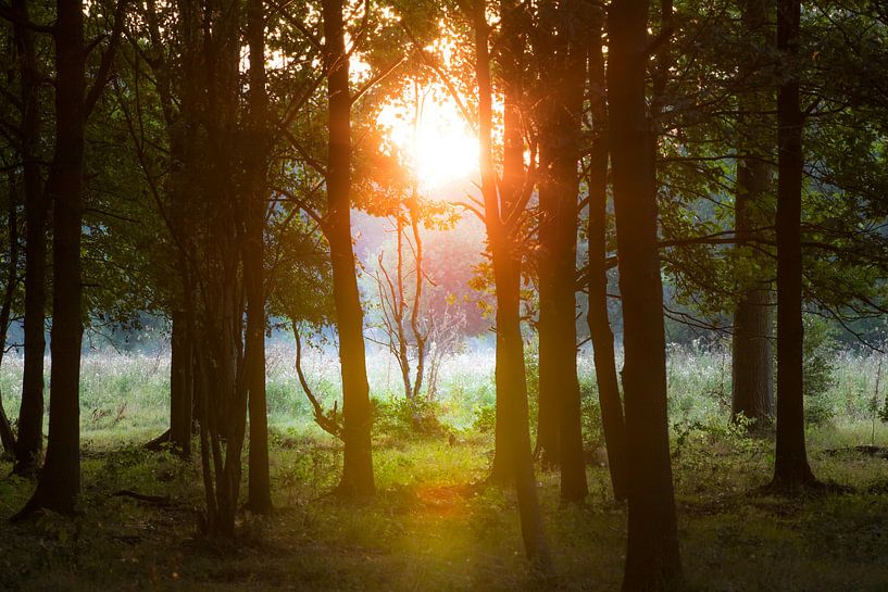 Lever de soleil II par Marinella Geerts