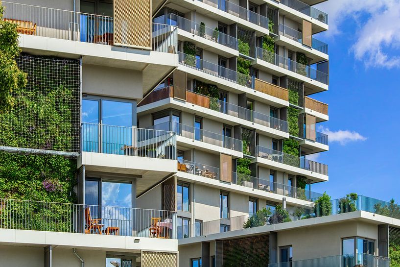 Grüne Fassade Erfurt – Architektur und Natur von Mixed media vector arts