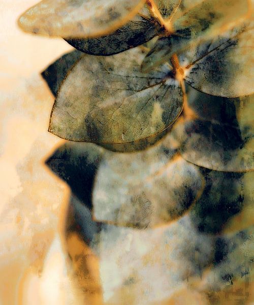 Eucalyptus sur beige chaud par Mad Dog Art