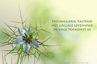 Juffertje in het groen