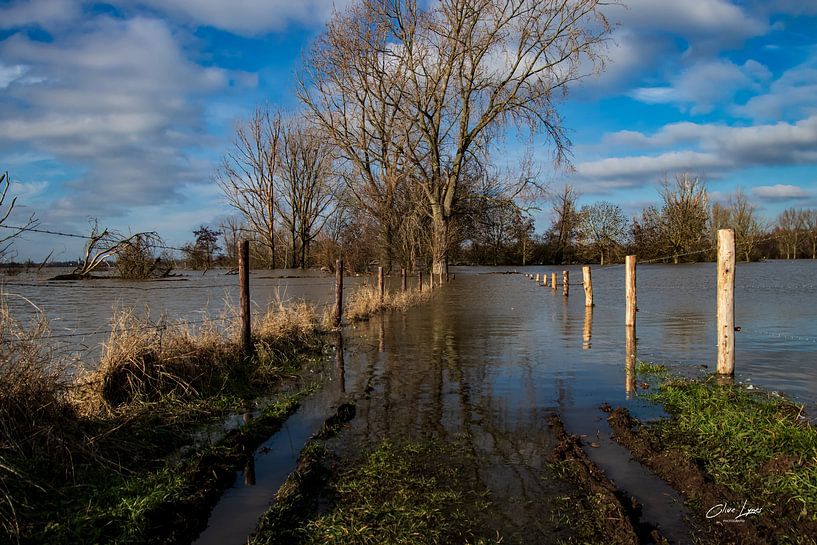 More Floods in Limburg by Clive Lynes
