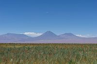 Volcano over grass field