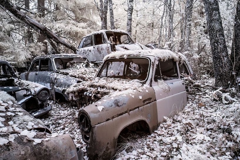 Ombres de l'acier et de la nature par Gerry van Roosmalen